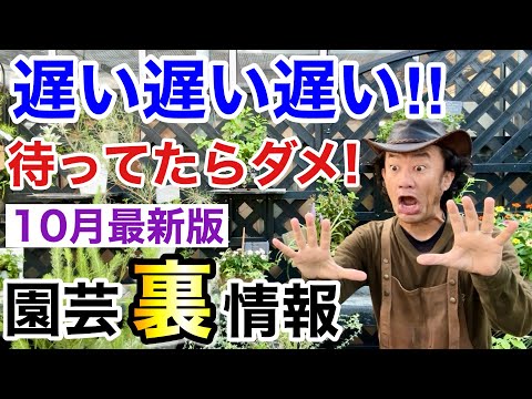 すべてに抵抗する花