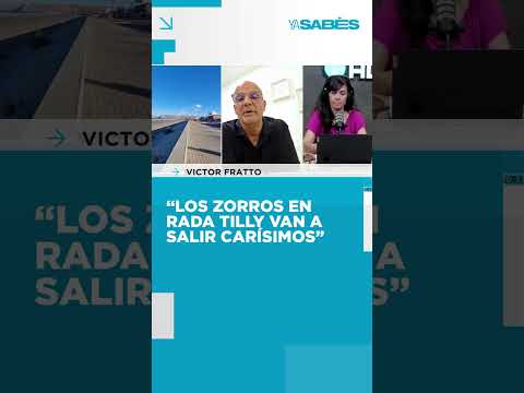 "Los zorros van a ser un problema carísimo para Rada Tilly"