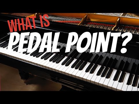 Why YOU Love PEDAL POINT?