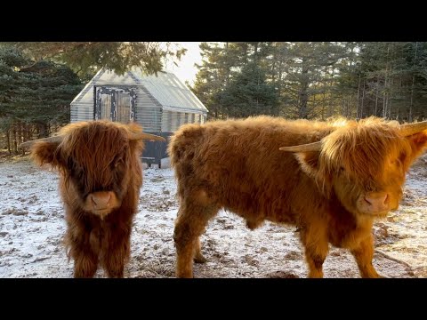 This is what our farm looks like right now.