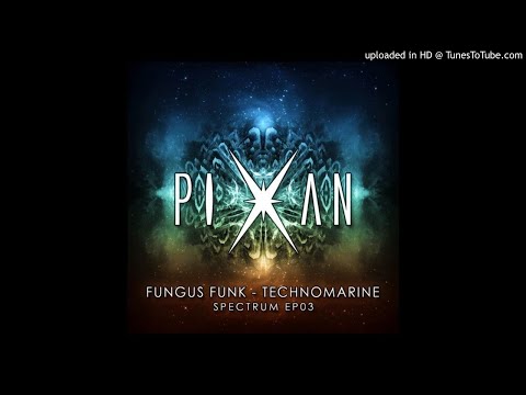 Fungus Funk - LSDrama