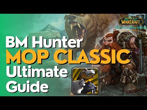 BM Hunter Complete DPS Guide | MoP Classic