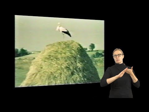 Maršrutas nr. 30 - Pramonės ir žemės ūkio parodos tarpukariu (gestų k.)