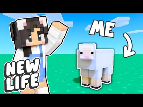 💜Minecraft BUT I'M A SHEEP! New Life SMP #5