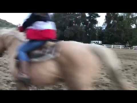 Practice video 10.01.2018