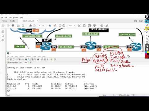 CCNA OSPF Lab