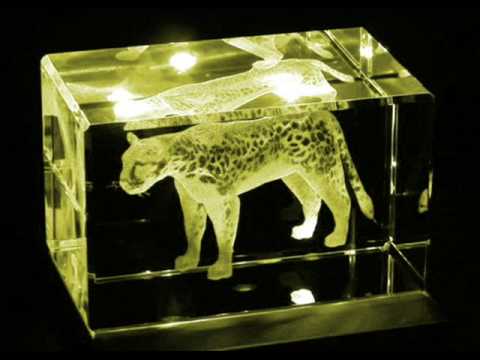 Silicon Sound - Jaguar