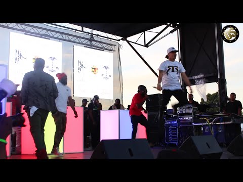 Assassin, Bugle, Spragga Benz & Red Rat Live [Roy Wilkins Park, New York] (Sept 2015)