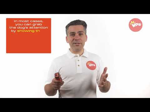 How to use the NPS Ultrasonic Dog Training Device