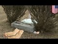 Tombstone kills man: Elderly man pinned to the ...