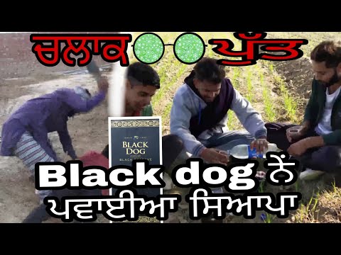 Black dog ਨੇਂ ਪਵਾਈਆ ਸਿਆਪਾ || Code word language