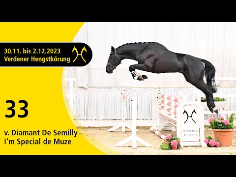 Verden Stallion Licensing 2023 - Jumping - Dec. 1/2- No. 33 Stallion by Diamant De Semilly