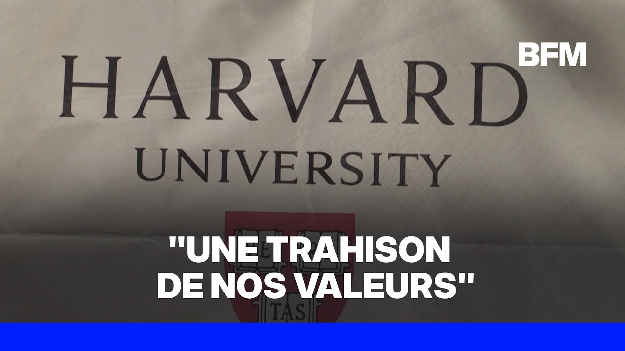 Harvard va verser 53 millions de dollars pour solder les poursuites liées au scandale de la morgue