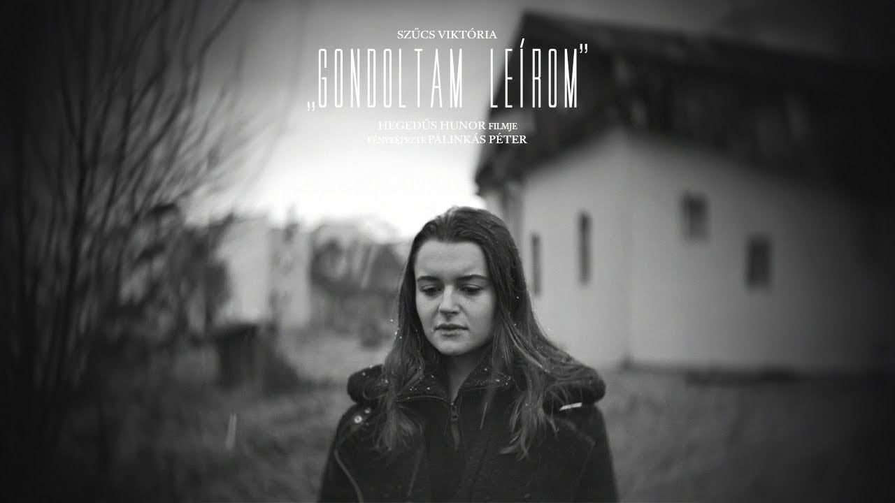 Gondoltam leírom - rövidfilm