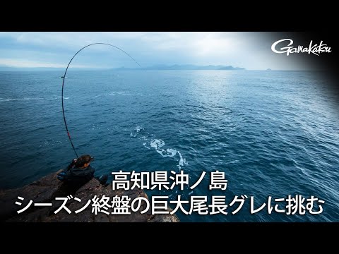 【G WORLD】#32 高知県沖ノ島 シーズン終盤の巨大尾長グレに挑む