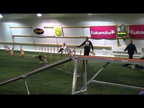 Marko & Hertz in Lieto 29.1.2011.  Clean run, 3rd place.