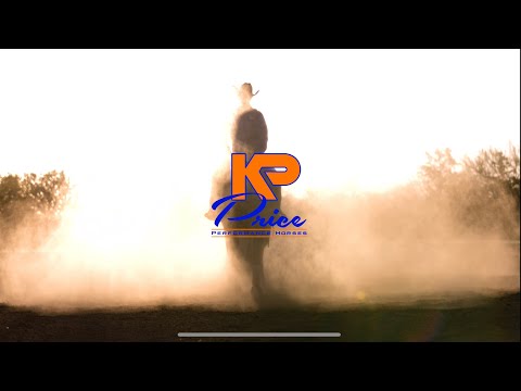 Price Performance Horses