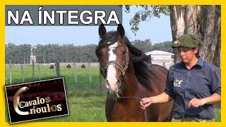 Miniatura do vídeo