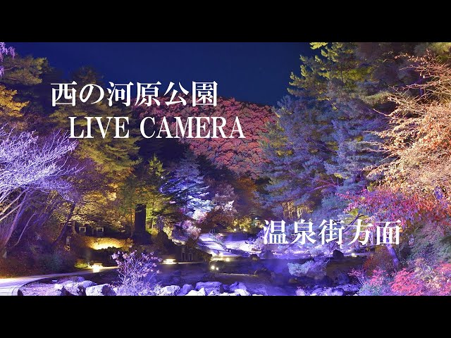 「LIVECAMERA」草津温泉 西の河原・湯川LIVE