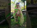 Koyal Bai Sidh Chalya Comedia Shorts Rajasthan Marwadi