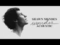 Shawn Mendes - Wonder (Acoustic)