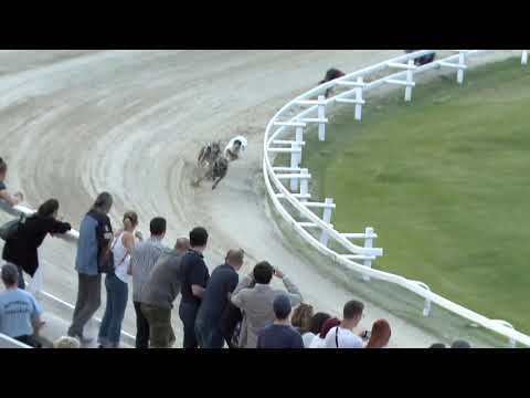 2020.06.12. 02. futam - June Trophy S2