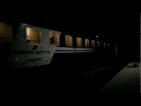 Un Caimano per l'Intercity Night 784