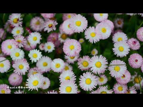 Get to Know Me - Raeve