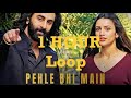 [1 Hour] ANIMAL: Pehle Bhi Main (Lyrical) | Vishal Mishra