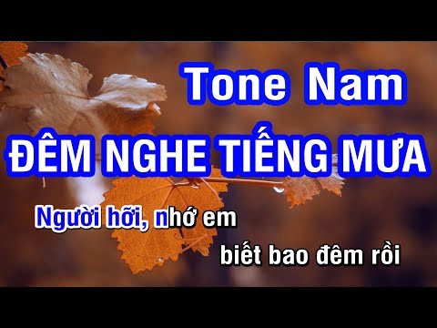 Karaoke Đêm Nghe Tiếng Mưa - Tone Nam (Bm)