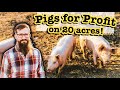 FULL TIME FARMER WITH 20 ACRES // Small Acreage Cattle Farming