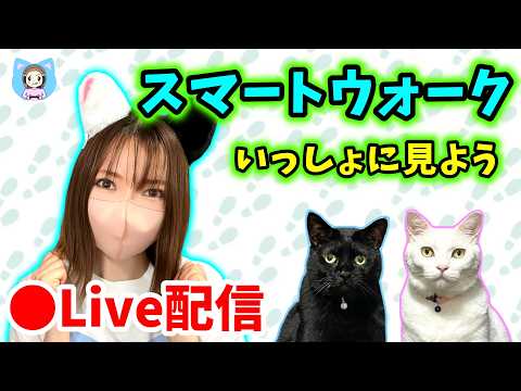 ドラクエウォーク新情報！水着or浴衣の予想を徹底解説！