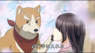 恋乱CMを “織田シナモン信長”の柴犬で再現／「天下統一恋の乱 Love Ballad ～華の章～」×TVアニメ「織田シナモン信長」バレンタインコラボムービー