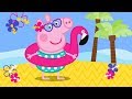 Peppa Pig Português Brasil Compilation 5 HD Desenhos Animados