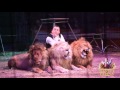 Manuel Farina Lions Tigers