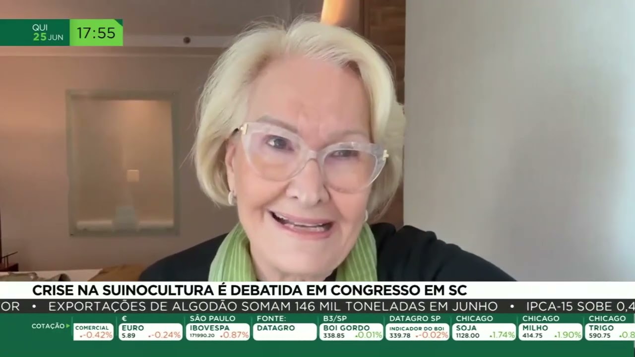 Crise na suinocultura é debatida em congresso em SC