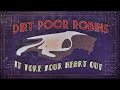 It Tore Your Heart Out by Dirt Poor Robins