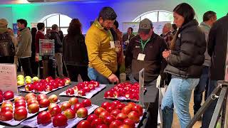PomaExpo 2026 reúne a más de 250 asistentes y refuerza su rol clave en el sector manzanero