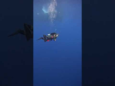 World Ocean Day by Nouf Alosaimi