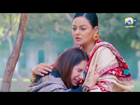 Dil awaiz last episode promo || Dilawaiz last episode promo review