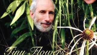 Tiny Flowers - Two French Tunes