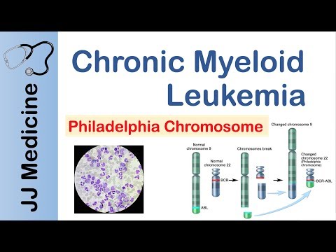 Heme Catabolism and Degradation Pathway Biochemistry Lesson