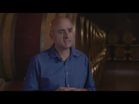 Bolla winery - Amarone & Ripasso