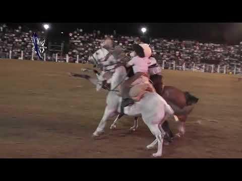 Diamante 2026 - Final Categ. Basto - 54º Festival Nacional de Jineteada y Folklore