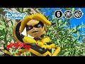 Miraculous | De Bananen Koningin | Disney Channel NL