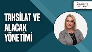 30 Dakikada Tahsilat ve Alacak Yönetimi | ALBERT SOLİNO