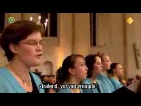 Grote kerk Hasselt- -de Hemelen juichen