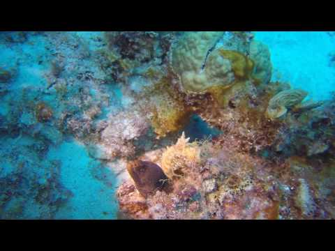 2017 04 16 Highlight