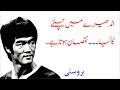 Bruce Lee Motivational Quotes In Urdu And Hindi Part 02 بروسلی کے اقوال Spiritual Talks