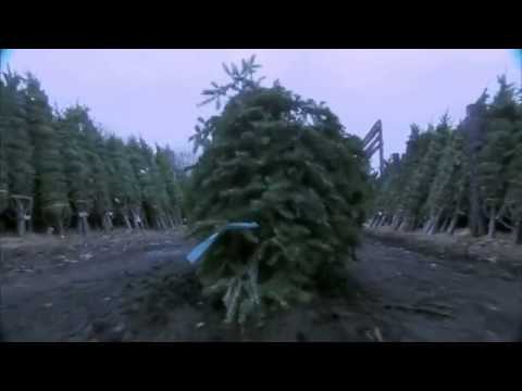 Treevenge Trailer